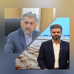 InShot_20241110_235430467