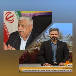 InShot_20241111_010950821